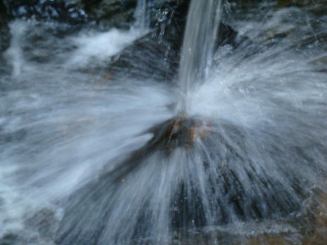 Fonte