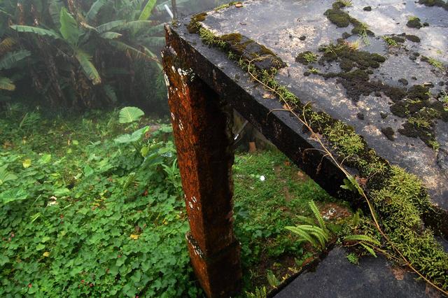 tomb raider