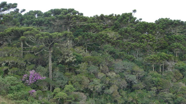 DSC09993.JPG
