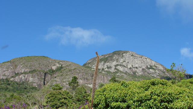 DSC06788.JPG