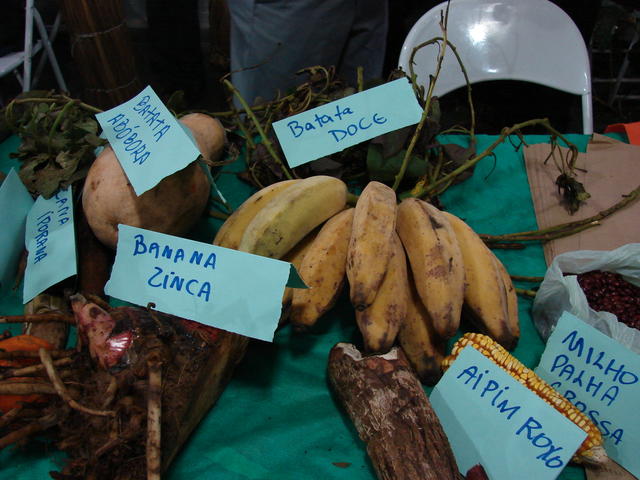 DSC00111.JPG