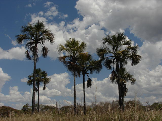 DSC00063.JPG