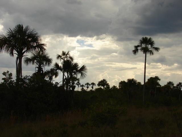 DSC00133.JPG