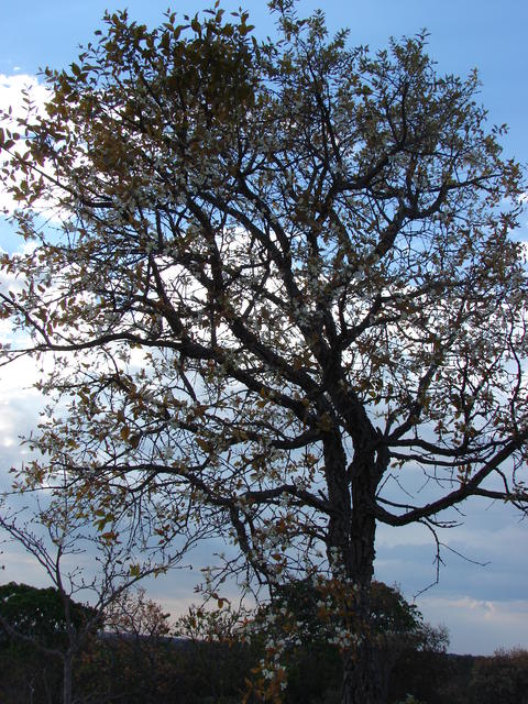 DSC00191.JPG