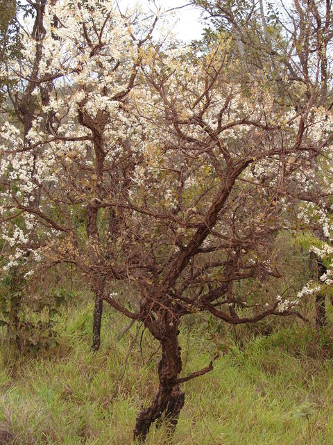 DSC00247.JPG