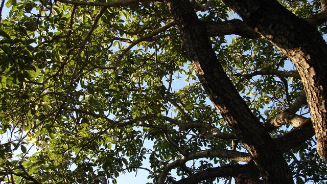 DSC00033.JPG
