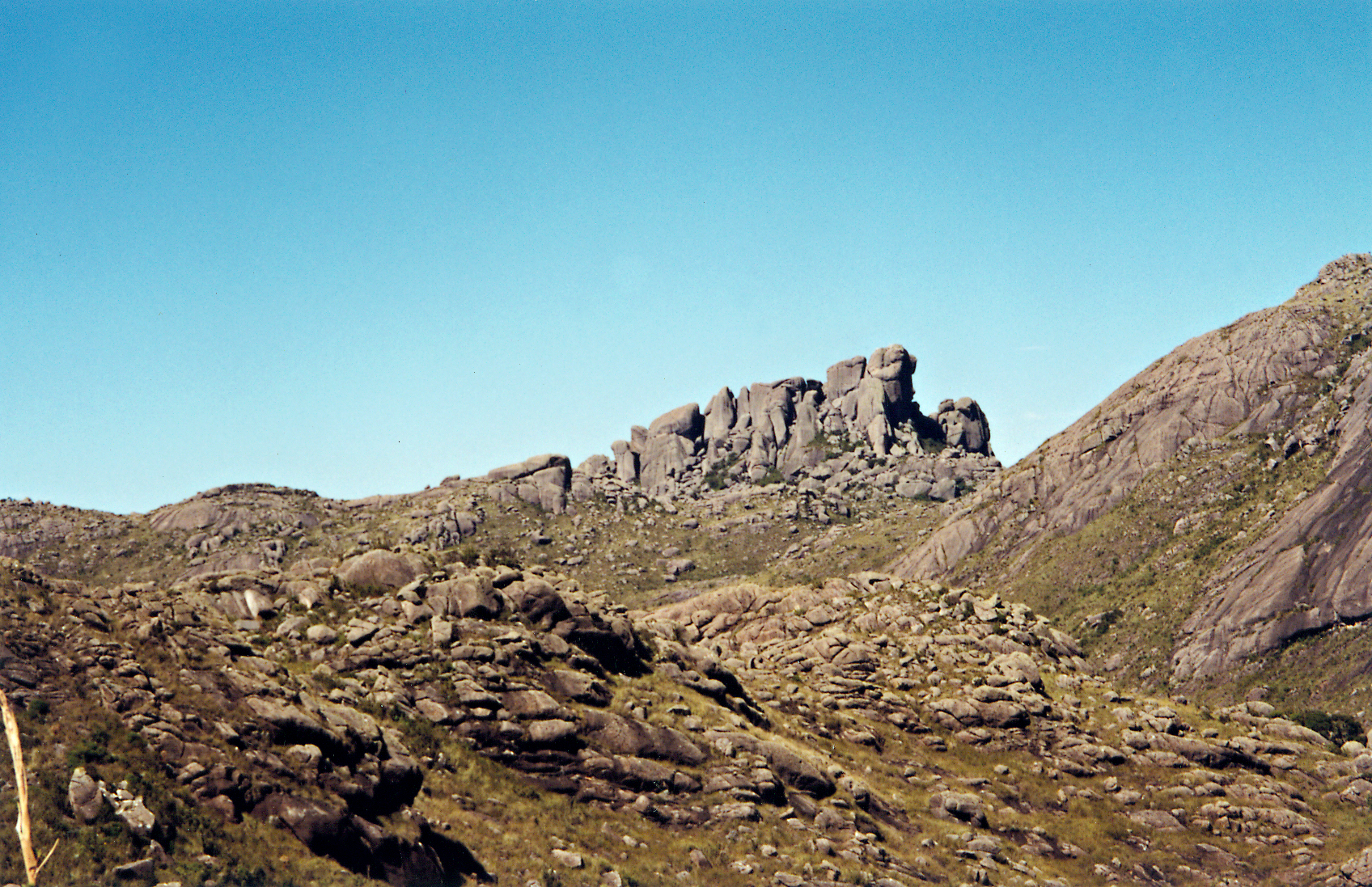 06.jpg