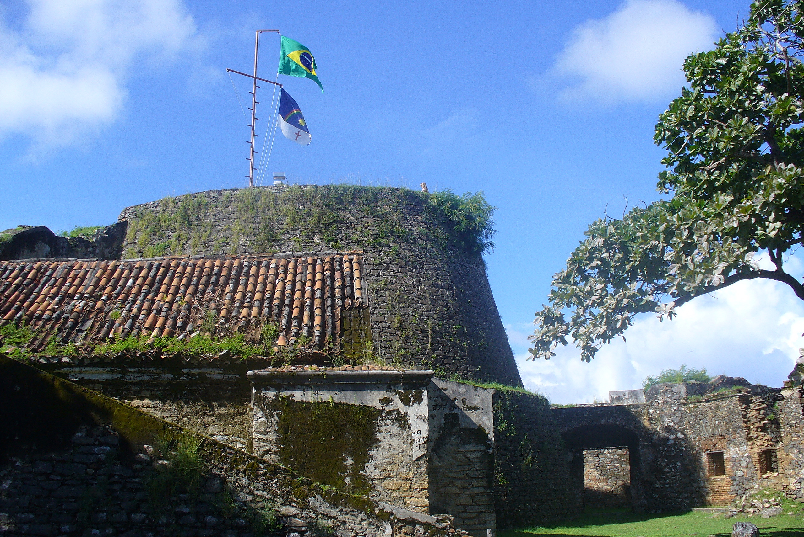 P1070469.JPG
