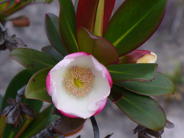 P1030068.JPG