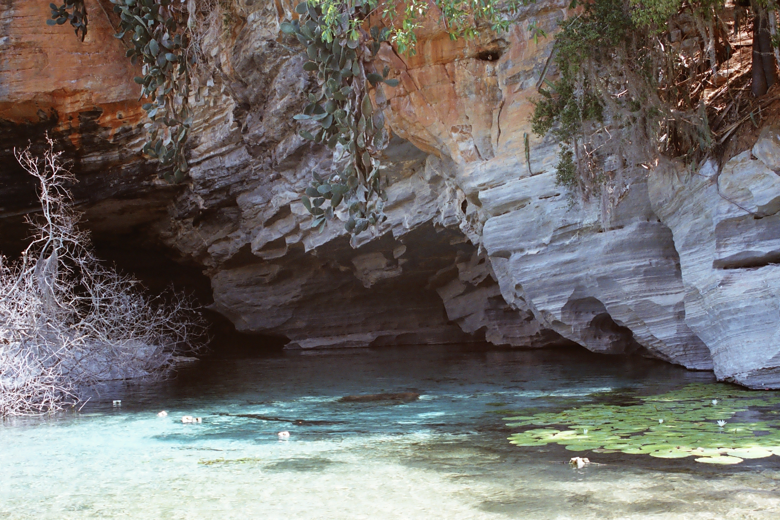 R005-004.JPG