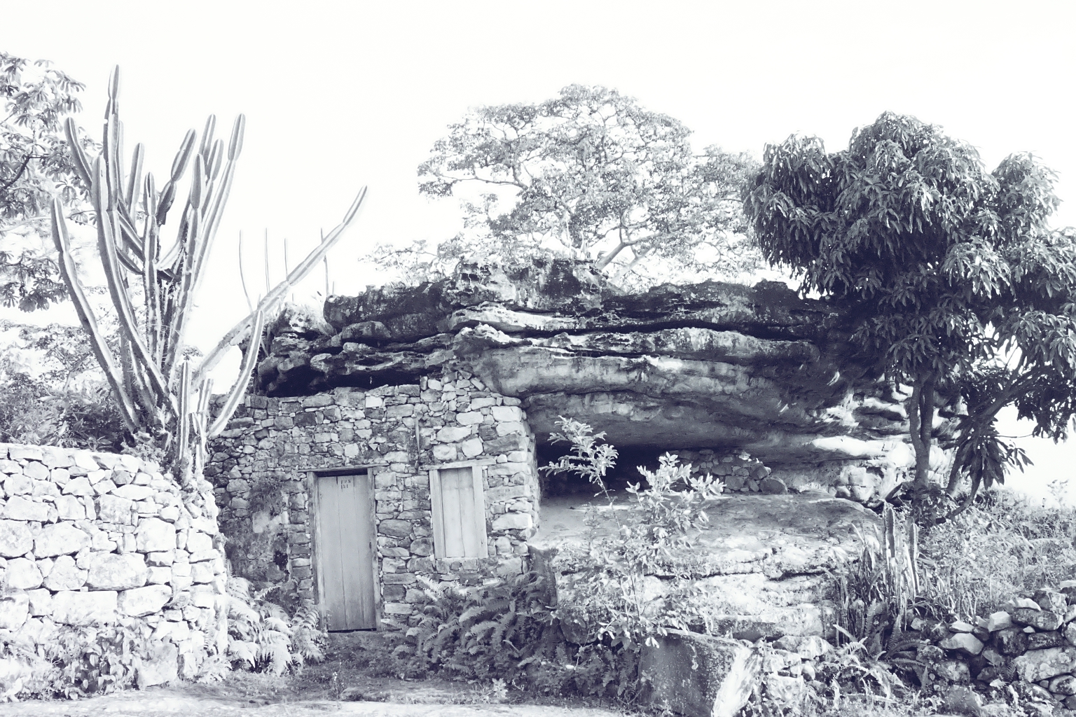 R022-002.JPG