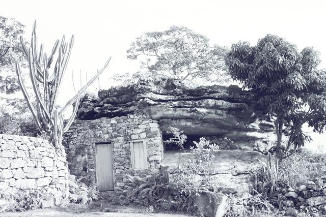 R022-002.JPG