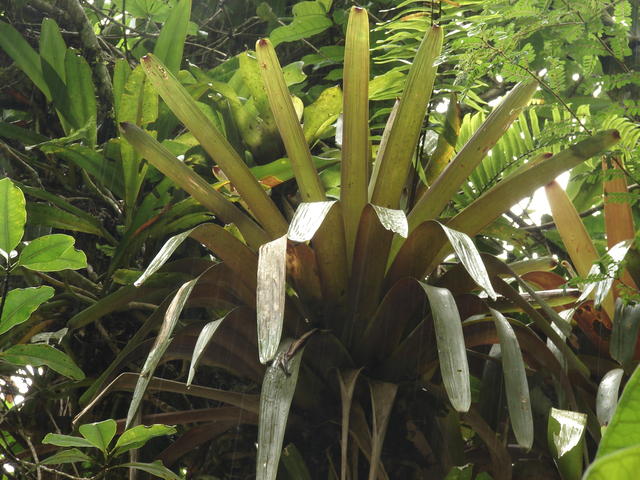 DSC00145