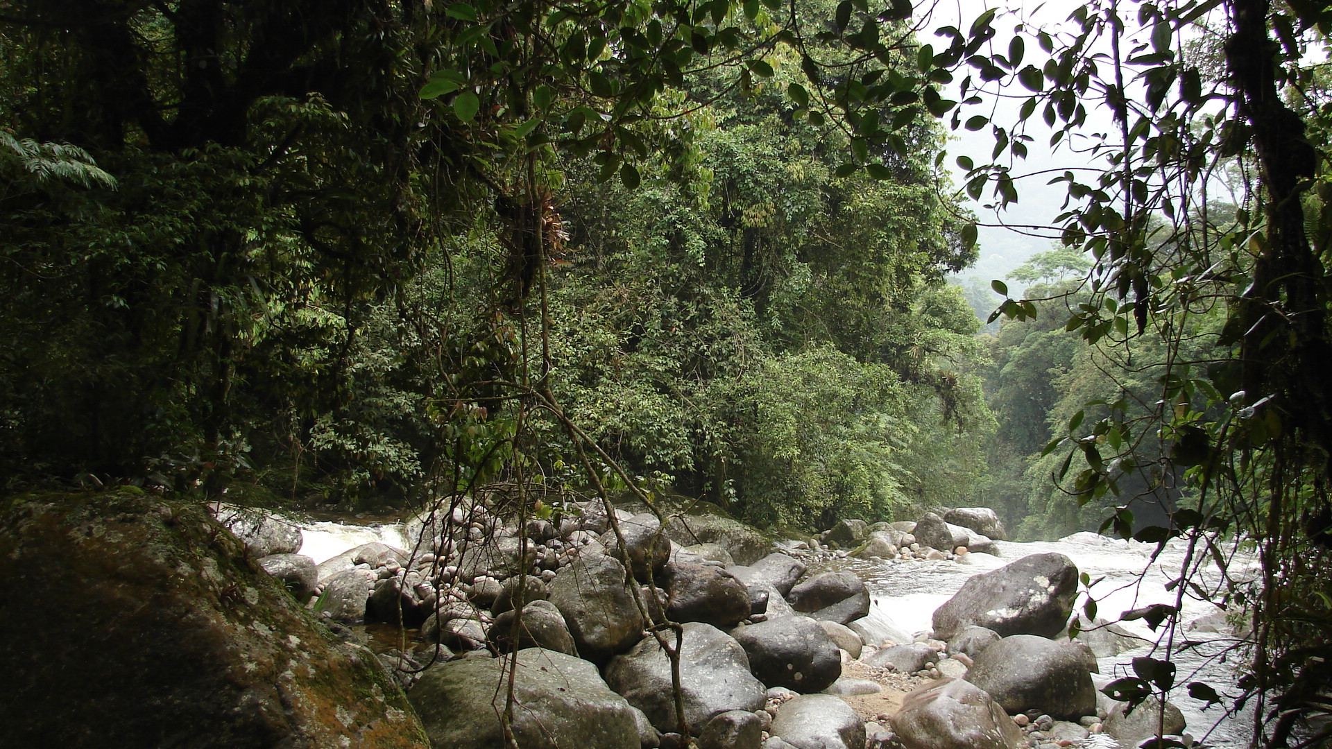DSC00137