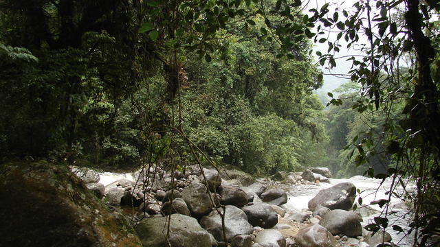 DSC00137