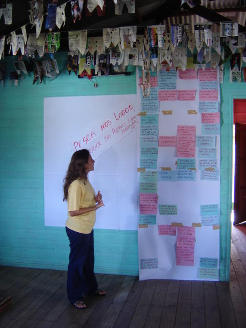 Diagnóstico pesca Sucuriju.jpg