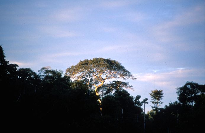 02.jpg