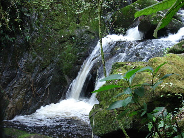 DSC00122.JPG