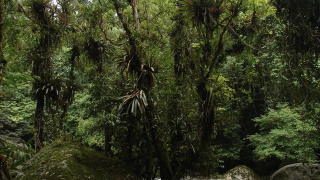DSC00138.JPG