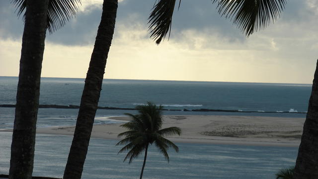 DSC00512.JPG