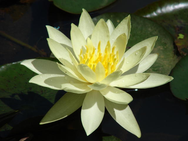 DSC00605.JPG