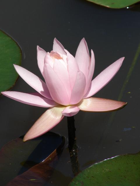 DSC00606.JPG