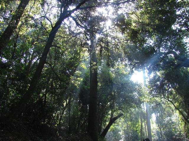 DSC01816.JPG