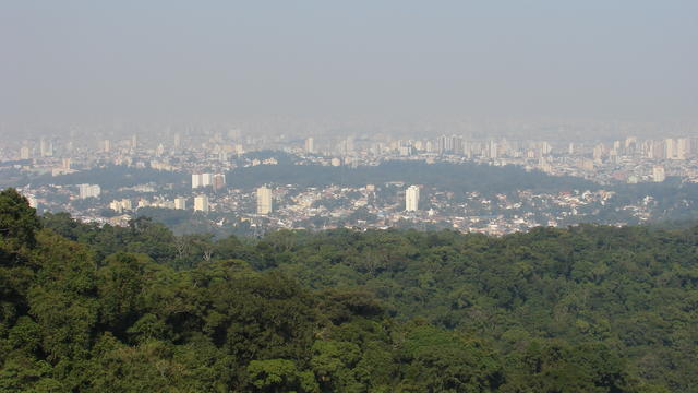 DSC01851.JPG