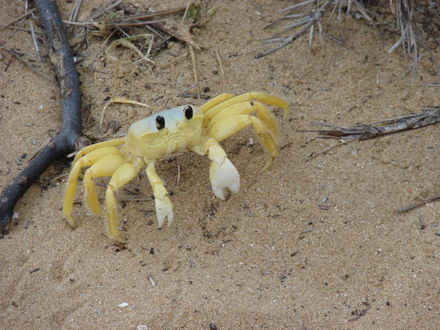 DSC03214.JPG