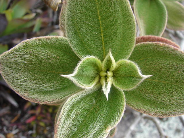 DSC07050.JPG
