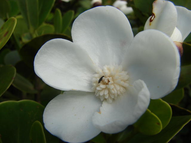 DSC07068.JPG