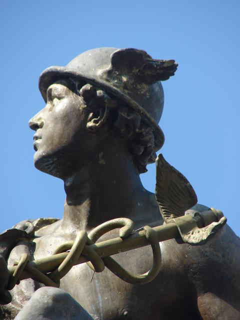 DSC08396.JPG