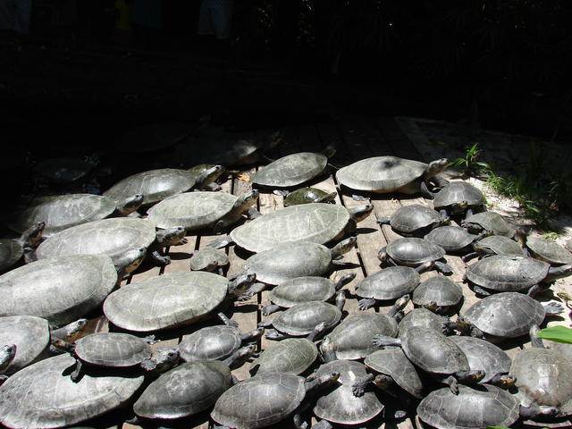 DSC00023.JPG