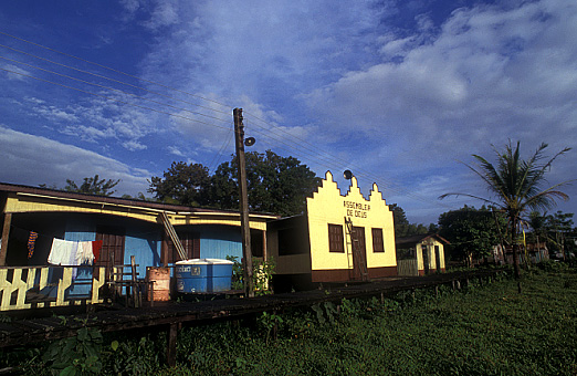 Taperebá