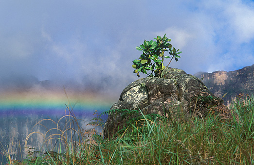 Monte Roraima