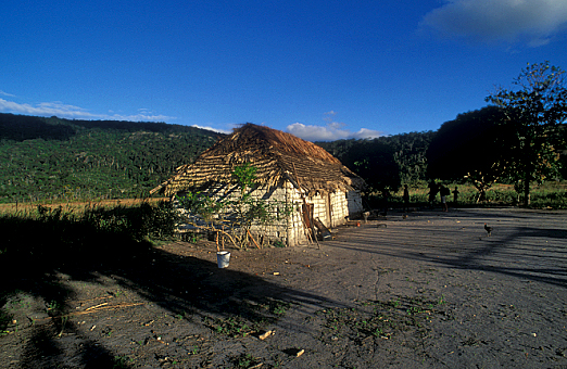 am_smo010004.jpg