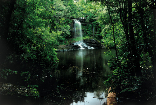 01_natureza_f08.jpg