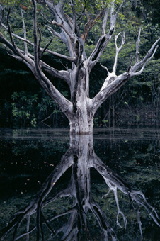 01_TEXTO_AB_F08.jpg