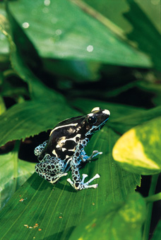 03A_NATUREZA_F08.jpg