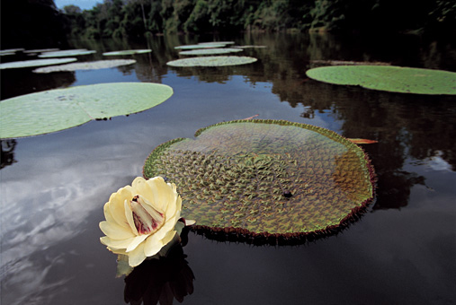 04B_NATUREZA_F08.jpg