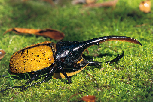 06_NATUREZA_F08.jpg