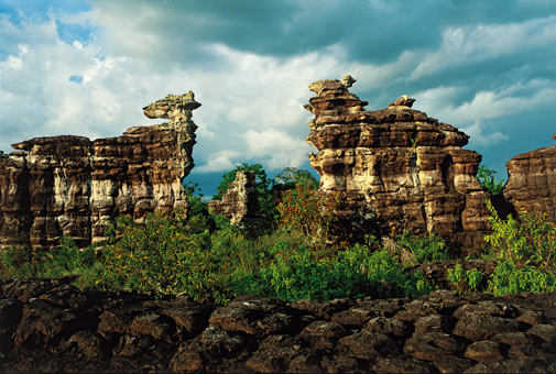 07A_NATUREZA_F08.jpg