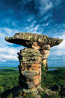 07B_NATUREZA_F08.jpg