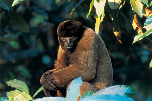 09A_NATUREZA_F08.jpg