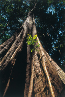 09B_NATUREZA_F08.jpg