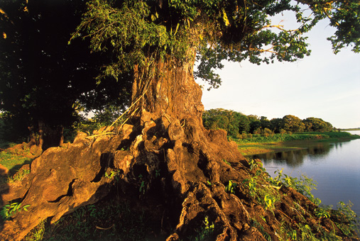 12B_NATUREZA_F08.jpg