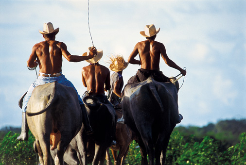 19B_GENTE_F09.jpg