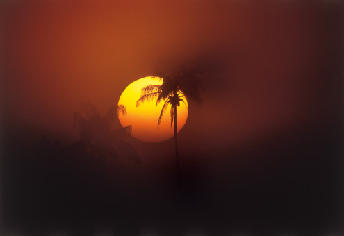 19B_NATUREZA_F08.jpg