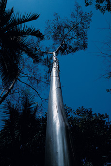 22B_NATUREZA_F08.jpg