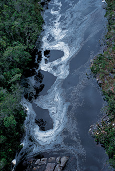 23A_NATUREZA_F08.jpg